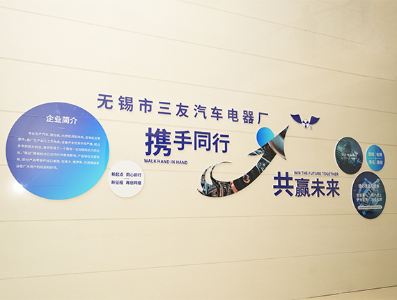 Fabrica electrică auto Wuxi Sanyou