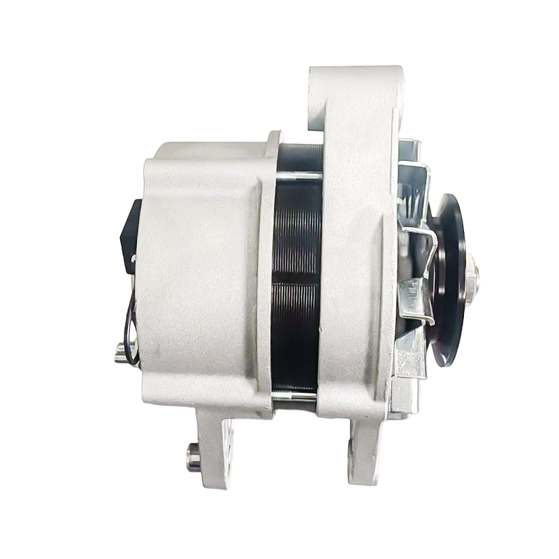 MG791 AAK4653 IA1616 11204629 72442837 AAK4653 12V 120A 8PK62mm ISKRA / LETRIKA Alternatoare