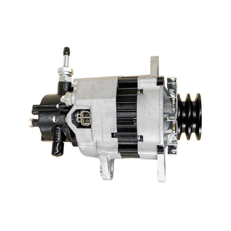 ALA0236SK, AD270365, TA000A31101, ALA0236RB, ALA0236WA, 600820, 301N20351Z 24V 70A 2A56mm MITSUBISHI Alternatoare pentru HYUNDAI COUNTY E NQ, JUDETUL